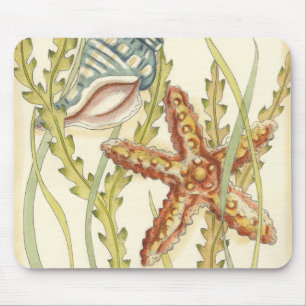 Mousepad Grupo de Shell Multicolores