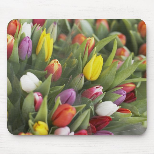 Mousepad Grupos de tulipas coloridas (Frente)