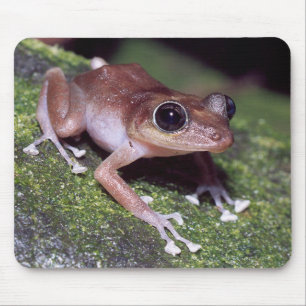 Mousepad Guajon