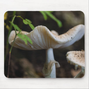 Mousepad Guarda-chuvas