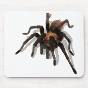 Mousepad Guardian Tarantula