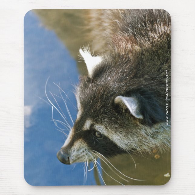 Mousepad Guaxinim (Frente)