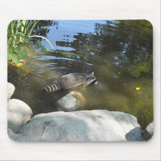 Mousepad Guaxinim Tomando um Banho