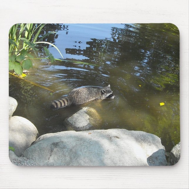 Mousepad Guaxinim Tomando um Banho (Frente)