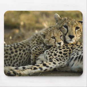 Mousepad Guepardo, Acinonyx jubatus, com filhote no Masai 2