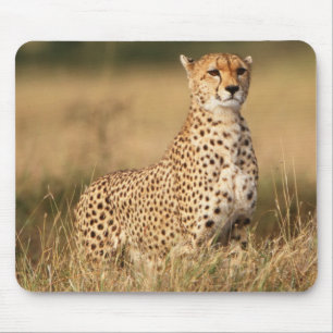Mousepad Guepardo em pequeno monte para melhor visibilidade