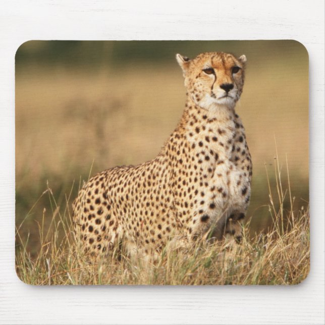 Mousepad Guepardo em pequeno monte para melhor visibilidade (Frente)