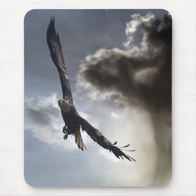 Mousepad "Guerreiro do Céu", Dons Bald Eagle (Frente)
