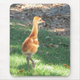 Mousepad Guindaste de Sandhill do bebê