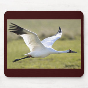 Mousepad Guindaste gritando (americana do Grus)
