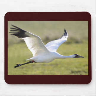 Mousepad Guindaste gritando (americana do Grus)