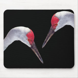Mousepad Guindastes de Sandhill