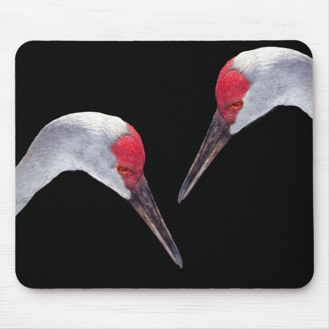 Mousepad Guindastes de Sandhill (Frente)