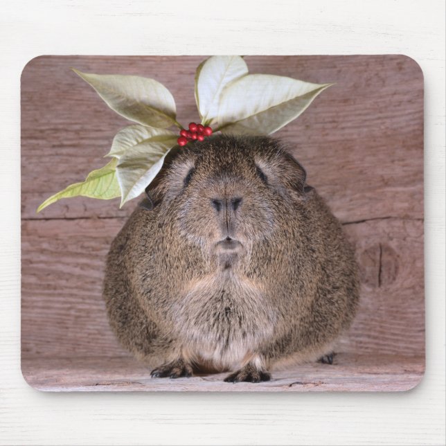 Mousepad Guiné Pig Sweetheart (Frente)