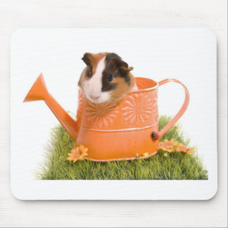 Mousepad guinea pigs tem-se lawn
