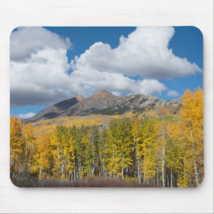 Mousepad Gunnison National Forest, Colorado