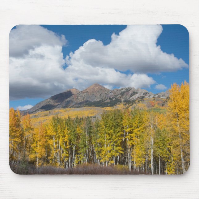 Mousepad Gunnison National Forest, Colorado (Frente)