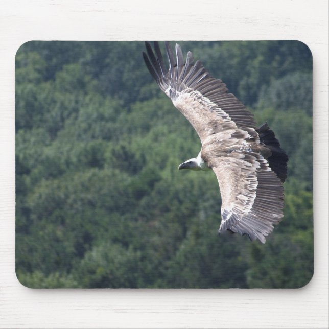 Mousepad Gyps fulvus voando (Frente)