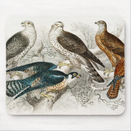 Mousepad Gyr Falcon, Goshawk, Kite ou Glead, Peregrine