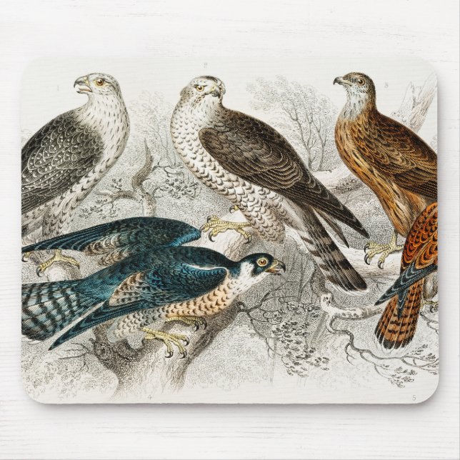 Mousepad Gyr Falcon, Goshawk, Kite ou Glead, Peregrine (Frente)