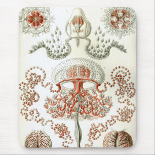 Mousepad Haeckel