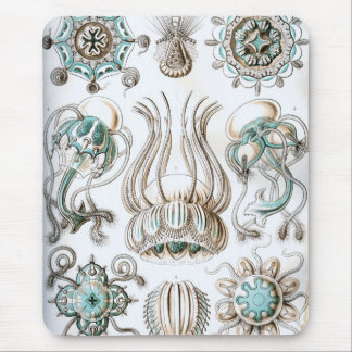 Mousepad Haeckel