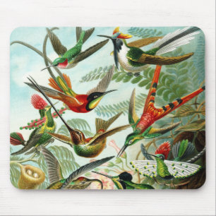 Mousepad Haeckel