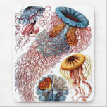 Mousepad Haeckel<br><div class="desc">Haeckel mousepad.</div>