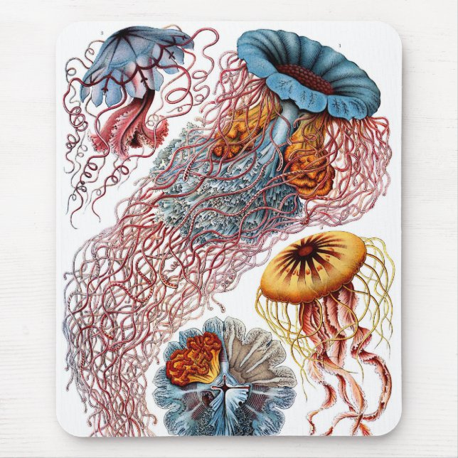 Mousepad Haeckel (Frente)