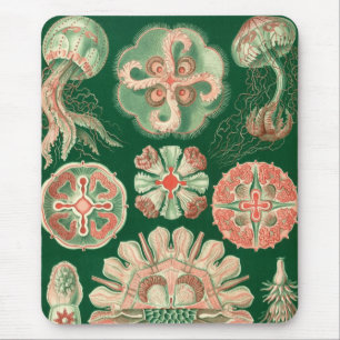 Mousepad Haeckel