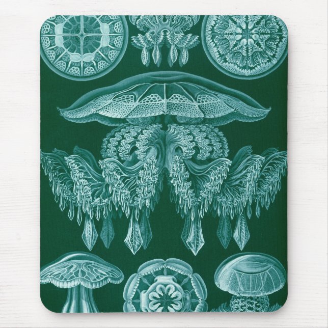 Mousepad Haeckel (Frente)