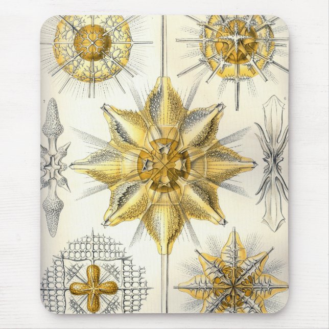 Mousepad Haeckel (Frente)
