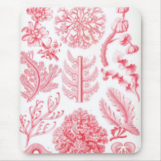 Mousepad Haeckel