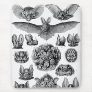 Mousepad Haeckel Bats