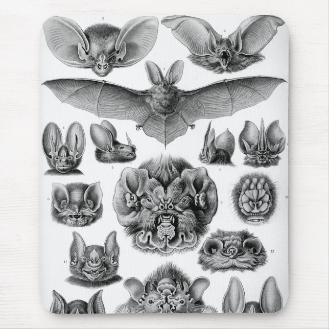 Mousepad Haeckel Bats (Frente)