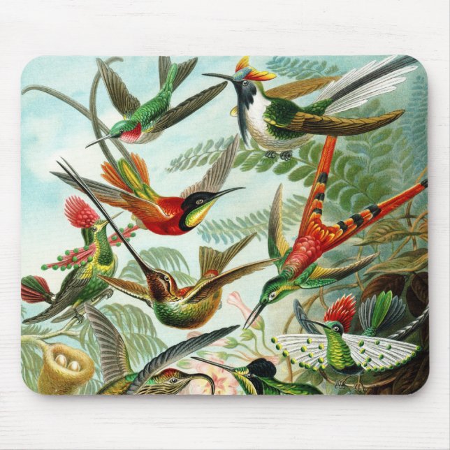 Mousepad Haeckel Hummingbird (Frente)