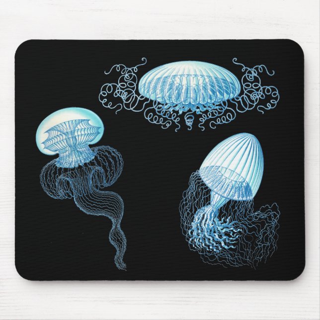 Mousepad Haeckel Jellyfish (Frente)