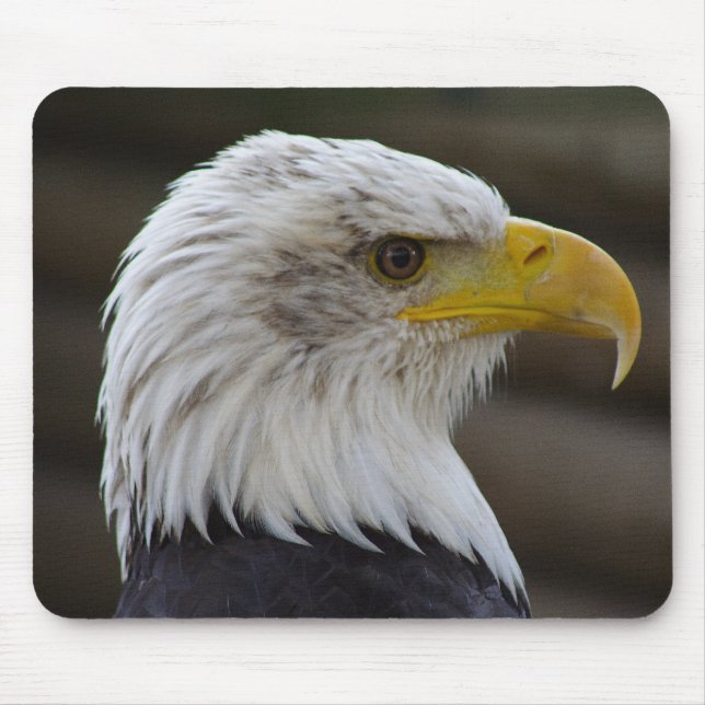 Mousepad Haliaeetus leucocephalus (Frente)