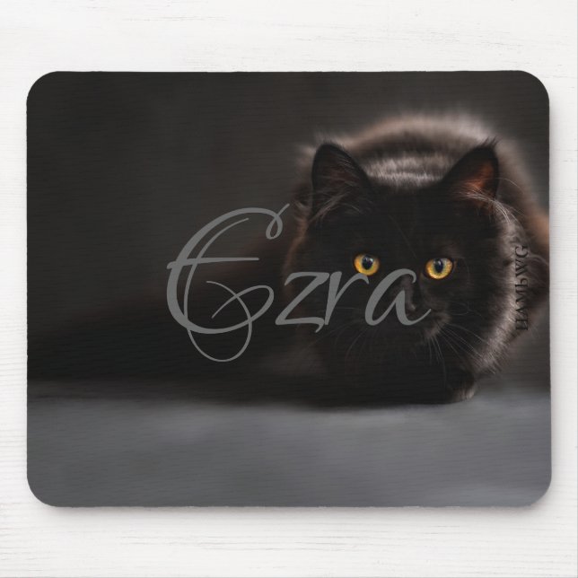 Mousepad HAMbWG - Pad do mouse - Gato preto (Frente)