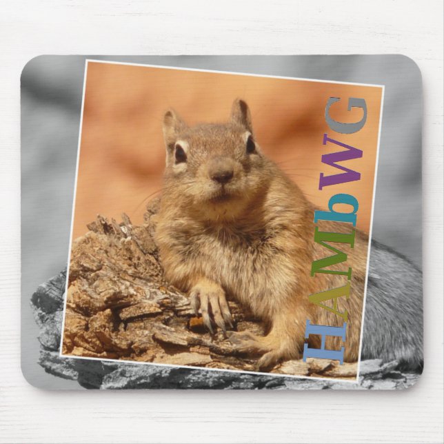 Mousepad HAMbyWG - Pad do mouse - Esquilo famoso (Frente)