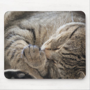 Mousepad HAMbyWG - tapete do rato - gatinho de afago