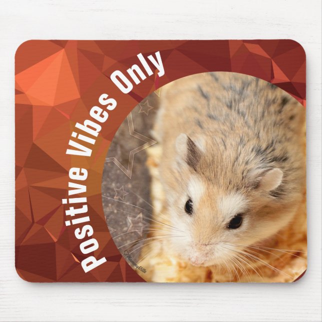 Mousepad HammyVille - apenas vibrações positivas de Hamster (Frente)