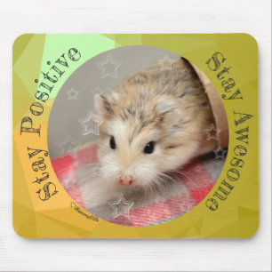 Mousepad HammyVille - Hamster Bonito Fique Incrível