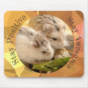 Mousepad HammyVille - Hamster Bonito Fique Incrível