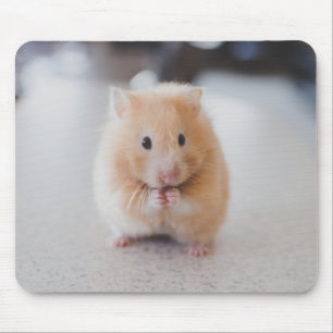 Mousepad Hamster bonito