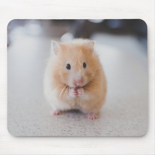 Mousepad Hamster bonito (Frente)