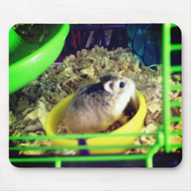 Mousepad Hamster de Robo (Frente)