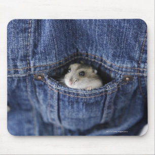 Mousepad Hamster no bolso