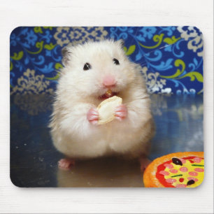 Mousepad Hamster sírio macio Kokolinka que come uma sement