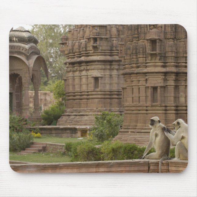 Mousepad Hanuman Langurs ou de cara preta, Comum ou Cinza (Frente)